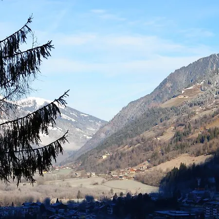 Apartment Sonnblick Top 1 Bad Gastein